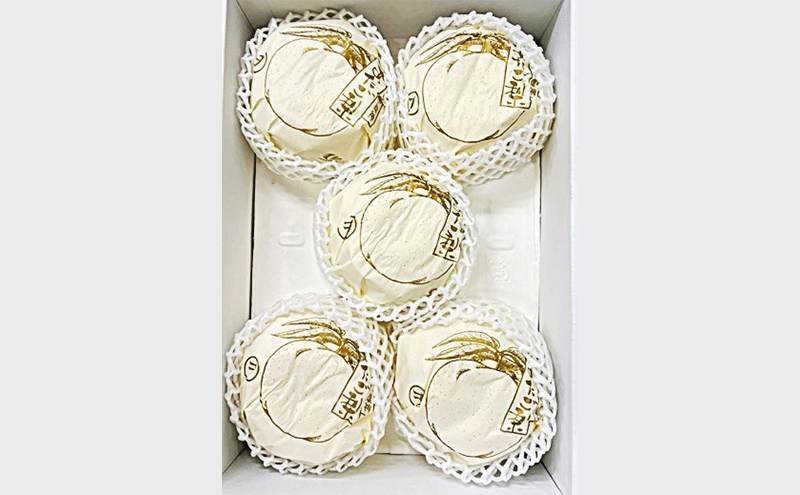 梨 2025年 先行予約 あたご梨 3-6玉 青秀以上 (約4kg) 化粧箱入り