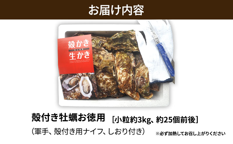 牡蠣 殻付き 小粒牡蠣 お徳用 約3kg 岡山県 瀬戸内市