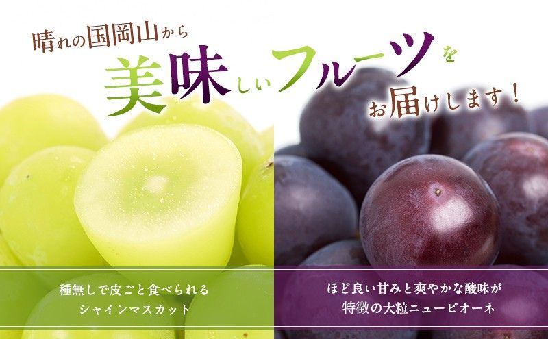ぶどう 2026年 先行予約 シャインマスカット ＆ ニュー ピオーネ 各1房 約1.2kg ブドウ 葡萄 岡山県産 国産 フルーツ 果物 直送！せとうちバスケット