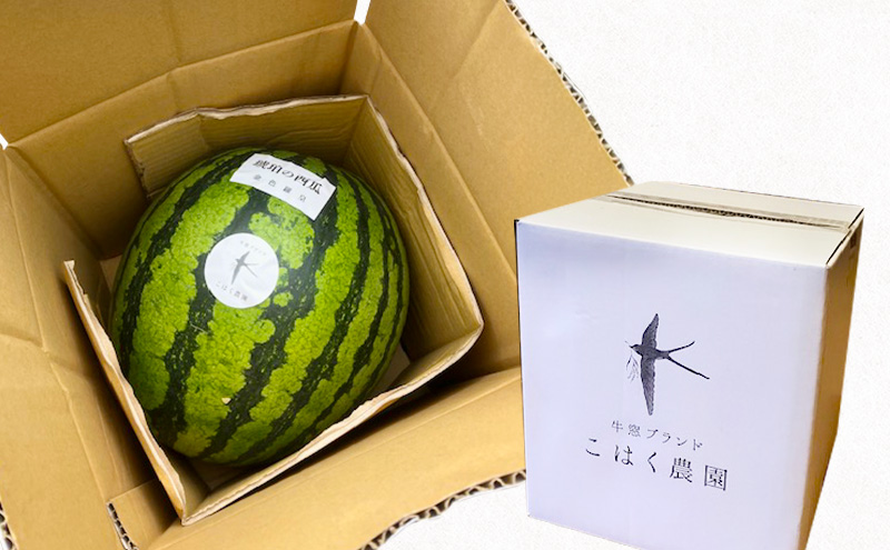 こはく農園 瀬戸内市牛窓産 琥珀の西瓜【金色羅皇品種使用】黄色 1玉(約7～9kg) スイカ 西瓜 フルーツ 国産 岡山 瀬戸内市