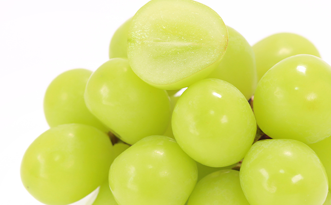 ぶどう 2026年 先行予約 シャイン マスカット 晴王 600g以上×1房 種無し ブドウ 葡萄 岡山県産 国産 フルーツ 果物 ギフト デザート 果実 美しい 大粒 高糖度 皮ごと パリッ 弾力 食感 食べやすい 人気