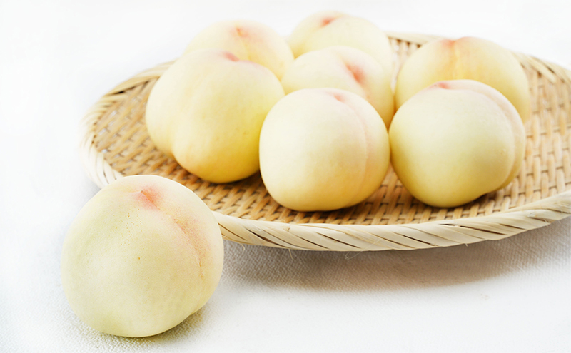 桃 定期便 2026年 先行予約 岡山 の 白桃 8玉 合計1.7kg以上×2回 お届け 化粧箱入り もも モモ 岡山産 国産 フルーツ 果物 ギフト