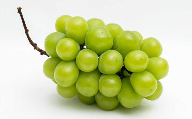 ぶどう 2026年 先行予約 シャイン マスカット 晴王 2房 (1房480g以上) 化粧箱入り ブドウ 葡萄 岡山県産 国産 フルーツ 果物 ギフト