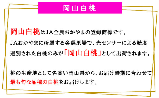 桃 2026 年先行予約 岡山 白桃 エース 4～6玉 1kg 岡山県産 JAおかやまのもも モモ 岡山県産 国産 フルーツ 果物 ギフト
