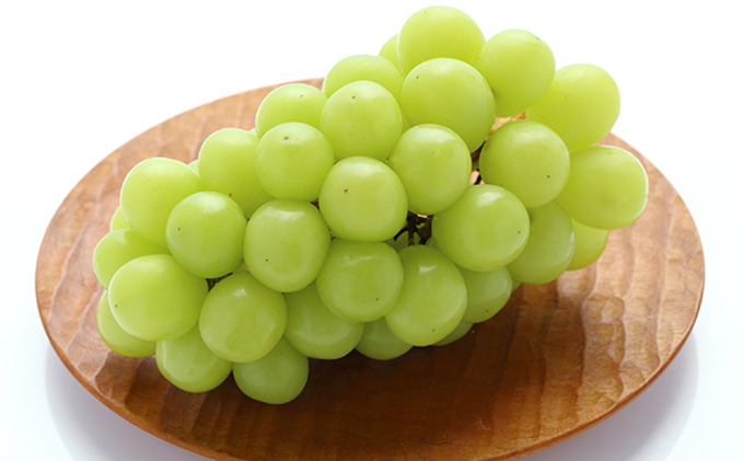 ぶどう 2026年 先行予約 詰め合わせ ニュー ピオーネ 1房（480g以上）・ シャイン マスカット 晴王 1房（480g以上）化粧箱入り ブドウ 葡萄  岡山県産 国産 フルーツ 果物 ギフト