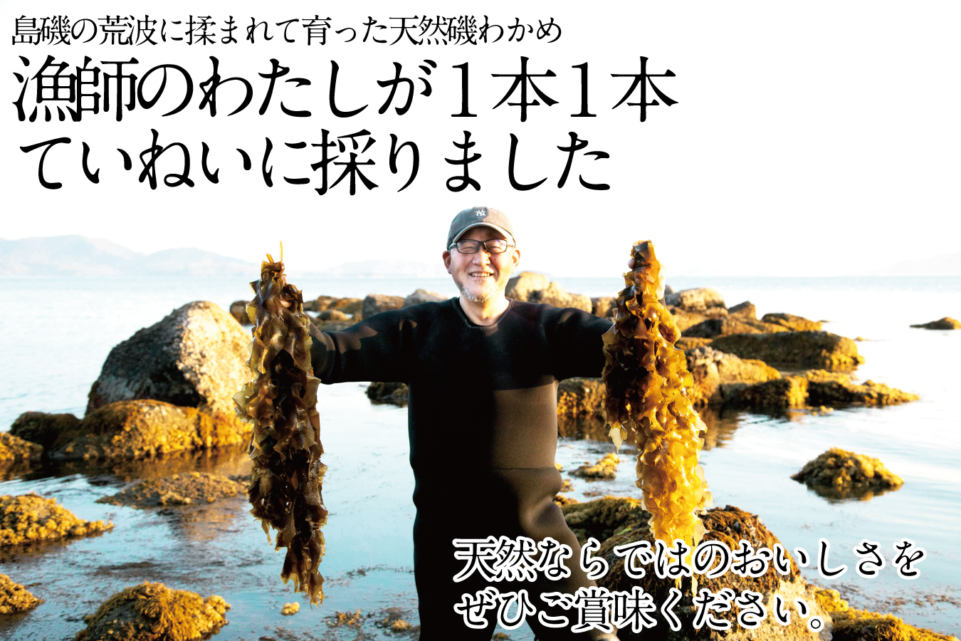 風味豊かな 瀬戸内 わかめ 22g×3袋 エビス水産【岡山 瀬戸内海 天然 カットわかめ】