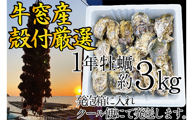 先行予約 2023年2月以降順次発送 殻付 牡蠣 約3kg エビス水産  洗浄済 瀬戸内牛窓産 岡山県 ※加熱調理用