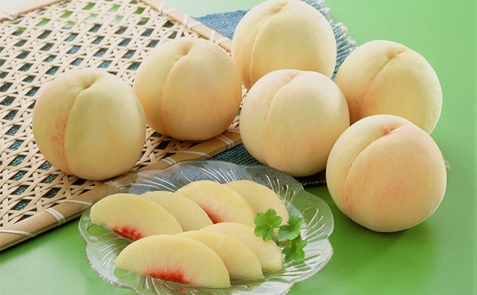 桃 2026年 先行予約 岡山 白桃 8～10玉 合計2.0kg以上 もも モモ 岡山県産 国産 フルーツ 果物 ギフト 環山堂  直射日光 有袋栽培 皮が薄い 上品 甘み 香り 豊か とろける 果汁 贈り物