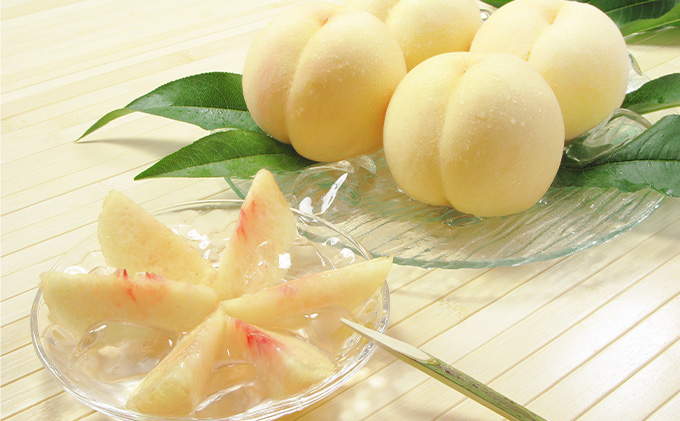 桃 2026年 先行予約 岡山 白桃（品種：おかやま夢白桃／白麗）5～7玉 合計1.5kg以上 もも モモ 岡山県産 国産 フルーツ 果物 ギフト 環山堂 直射日光 有袋栽培 上品 甘み 香り 豊か とろける 果汁 贈り物