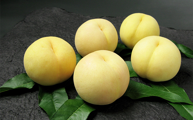 桃 2026年 先行予約 岡山 清水 白桃 5～7玉 合計1.5kg以上  もも モモ 岡山県産 国産 フルーツ 果物 ギフト 環山堂 直射日光 有袋栽培 皮が薄い 上品 甘み 香り 希少 クリーミー 果汁 贈り物