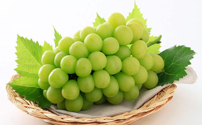 ぶどう 2026年 先行予約 シャイン マスカット 晴王 1房 700g以上 マスカット ブドウ 葡萄 岡山県産 国産 フルーツ 果物 ギフト 環山堂 大粒 種無し 甘い 豊潤 香り 皮ごと 高糖度 贈り物