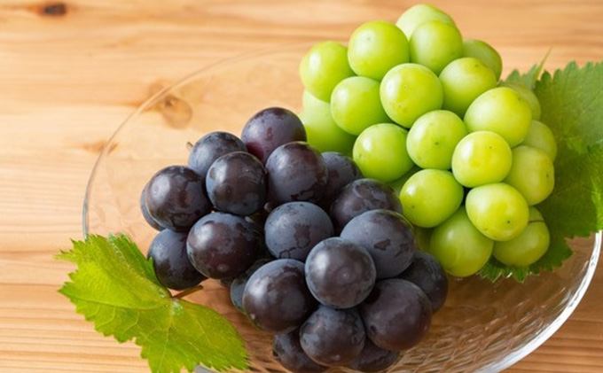 ぶどう 2026年 先行予約 種無し ぶどう 詰合せ 2房 合計1.2kg以上 マスカット ブドウ 葡萄 岡山県産 国産 フルーツ 果物 ギフト 環山堂 大粒 甘い 甘酸っぱさ 人気 香り 皮ごと 高糖度 贈り物