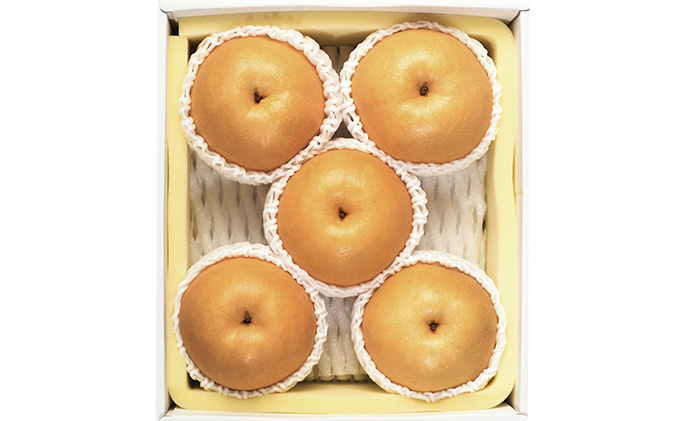 梨 2026年 先行予約 新高 梨 5～6玉 合計2.5kg以上 なし ナシ 岡山県産 国産 フルーツ 果物 ギフト 環山堂 大きさ 形 おいしさ 王様 みずみずしく 上品 風味 シャリシャリ 甘い