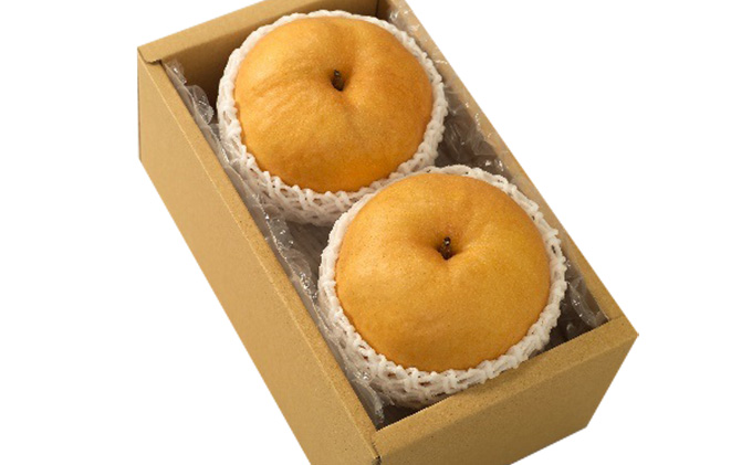 梨 2026年先行予約 あたご梨 2玉 合計1.8kg以上 岡山 環山堂 大きさ 特徴 赤梨 果物 フルーツ 独特 香り 柔らか みずみずしい しゃきっ ギフト 贈り物