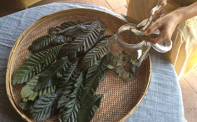 Inori ナチュラルヘルス＆エコセット（ビワの葉エキス他） 加工食品 手作り 加工品 詰め替え用ボトル