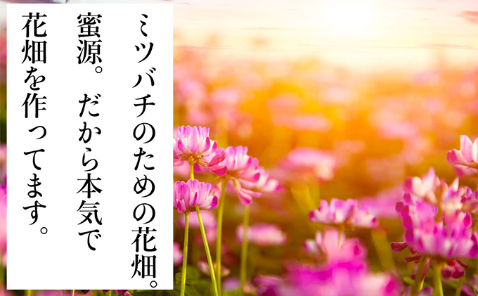 瀬戸内市のおいしい お米 「ひのひかり」 10kg（5kg×2袋）岡山県 瀬戸内市産 石黒農園 ご飯 銘柄米 炭水化物 白米 ライス 主食 和食 おにぎり お弁当 産地直送