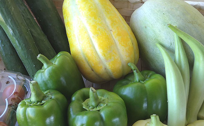6ヶ月 定期便 瀬戸内「旬」のお野菜セット 7～11品目程度の詰合せ 野菜 農薬 化学肥料 除草剤不使用 岡山 M’s farm