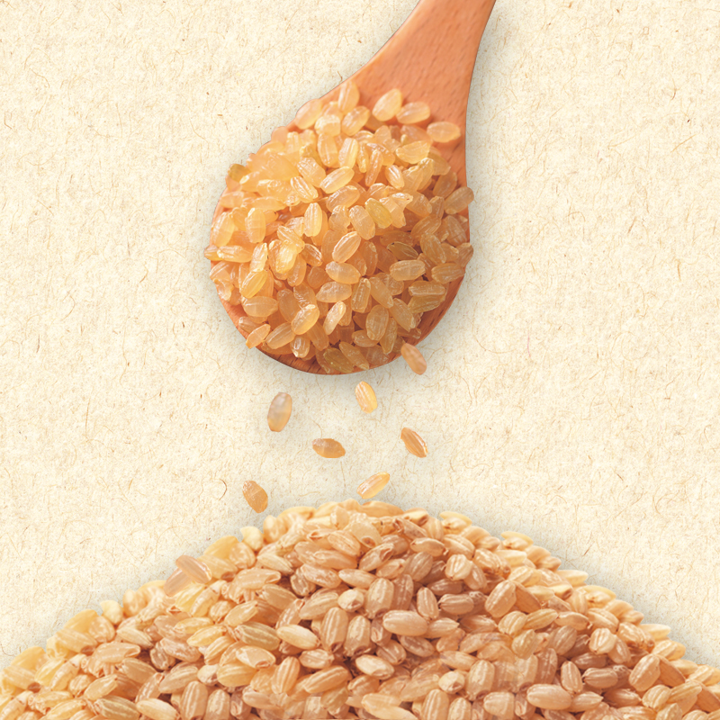 令和7年産 早炊 玄米 きぬむすめ 2kg×3袋 岡山県産　お米 国内産 ご飯 おにぎり お弁当 和食 国産 産地直送 玄米食 玄米の栄養素