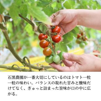 毎日食べたい石黒さんちの ミニトマト たっぷり 3kg 岡山県 瀬戸内市産 石黒農園【配達不可：離島】