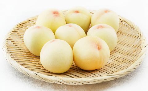 桃 2026年 先行予約 清水 白桃 8玉（1玉200g以上）化粧箱入り もも モモ 岡山県産 国産 フルーツ 果物 ギフト 最高級 乳白色 柔らかい 果汁 とろける 美味しい 贈り物