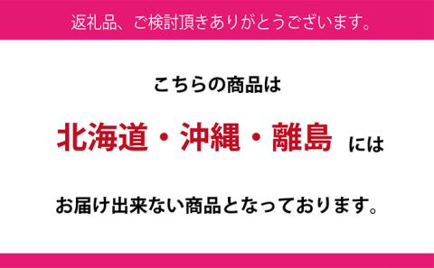 ぶどう 2026年 先行予約 シャイン マスカット 晴王 1房 約650g  ブドウ 葡萄  岡山県産 国産 フルーツ 果物 ギフト デザート 食後 酸味が少ない 産地直送
