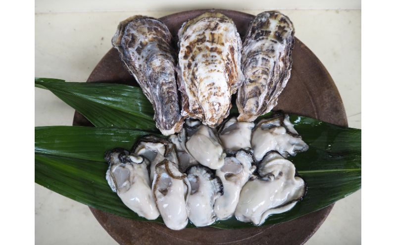 牡蠣 2026年 先行予約 殻付き牡蠣 レンジでチン セット 5個入×2袋 山銀商店 瀬戸内海虫明湾産 魚介類 カキ かき シーフード