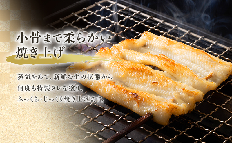 あなご 先行予約 山銀商店 白焼き あなご (合計約300g) 産地直送 穴子 魚介類