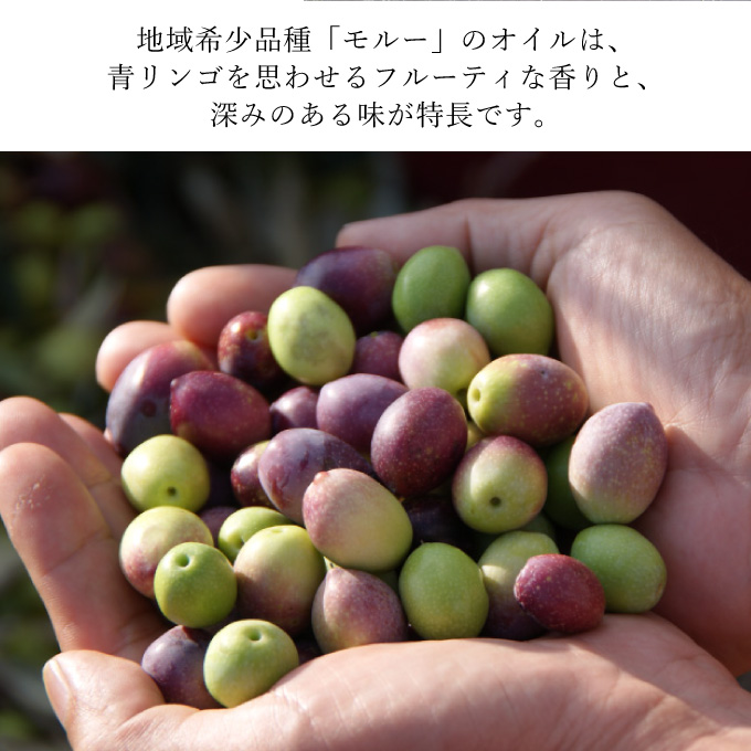 【期間・数量限定 先着 お米小分け付き】 オリーブオイル エキストラバージン オリーブ オイル トルトサ 1本入箱×2セット オリーブ油 食用油 ギフト セット 2024年