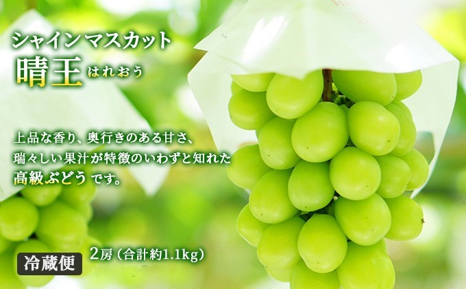 フルーツ 2025年 先行予約 晴れの国 岡山 の フルーツ 定期便 3回コース 桃 ぶどう 梨 岡山県産 国産 フルーツ 果物 ギフト マスカット もも モモ なし お楽しみ