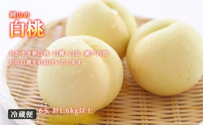 フルーツ 定期便 2026年 先行予約 フルーツ王国 岡山を堪能 6回コース 夏・秋・冬物語 桃 もも 葡萄 ぶどう 梨 なし岡山県産 国産 果物 セット ギフト 柔らかい マスカット 甘い 酸味 香り 風味