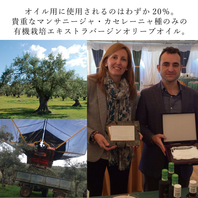 オリーブオイル 有機栽培 エキストラバージン オリーブ オイル シングル 180g 3本 セット 調味料 油 オリーブ油 食用油 ギフト