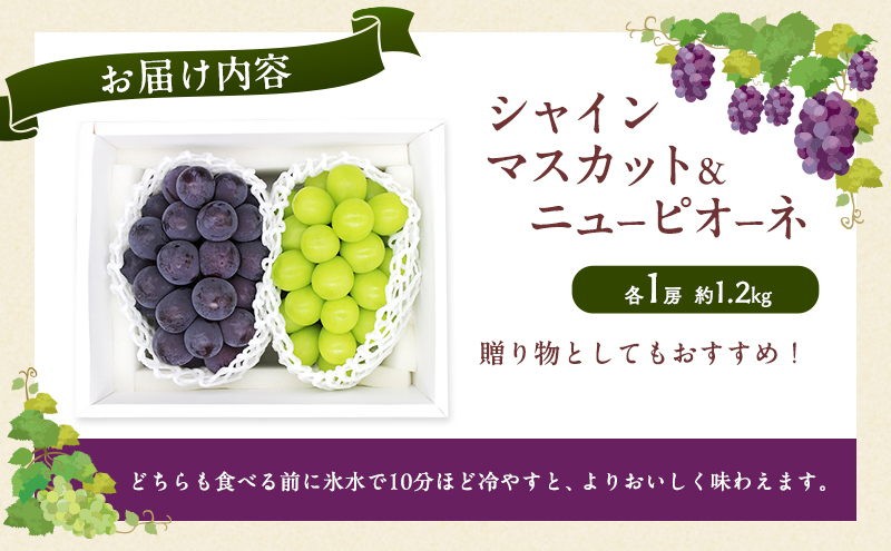 ぶどう 2026年 先行予約 シャインマスカット ＆ ニュー ピオーネ 各1房 約1.2kg ブドウ 葡萄 岡山県産 国産 フルーツ 果物 直送！せとうちバスケット