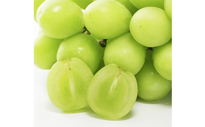 ぶどう 早期受付 極上追熟 シャイン マスカット 1房 650g以上 「光明」桐箱入り ブドウ 葡萄 岡山県産 国産 フルーツ 果物 ギフト 桃茂実苑 果物類