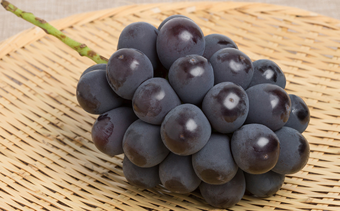 桃 ぶどう 2026年 先行予約 詰め合わせ 白桃 2玉（1玉220g以上）・ニュー ピオーネ２房（1房480g以上）化粧箱入り もも 葡萄 岡山県産 国産 フルーツ 果物 ギフト マスカット ニューピオーネ