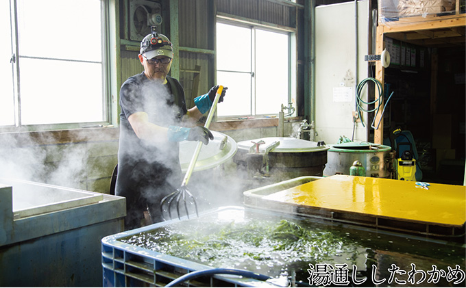 瀬戸内で採れた島磯香る わかめ 22g×7袋と ひじき 28g×8袋 セット【岡山 瀬戸内海 鉄釜炊 天然】