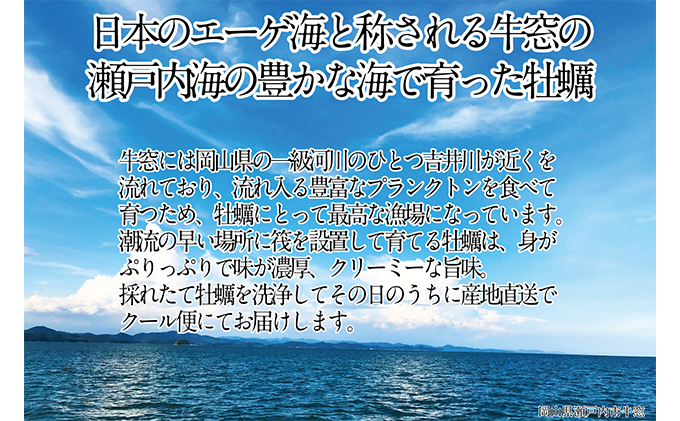 先行予約 2023年2月以降順次発送 殻付 牡蠣 約3kg エビス水産  洗浄済 瀬戸内牛窓産 岡山県 ※加熱調理用
