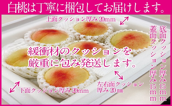 桃 2026年 先行予約 岡山の白桃 300g以上×6玉 白桃 旬 みずみずしい 晴れの国 おかやま 岡山県産 フルーツ王国 果物王国 デザート 岡山の桃 旬の桃
