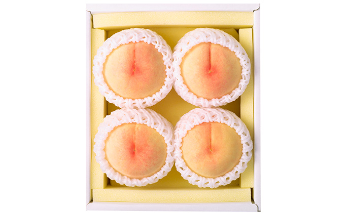 桃 2026年 先行予約 岡山 白桃 4～5玉 合計1.0kg以上 もも モモ 岡山県産 国産 フルーツ 果物 ギフト 環山堂 直射日光 有袋栽培 皮が薄い 上品 甘み 香り豊か とろける 果汁 贈り物