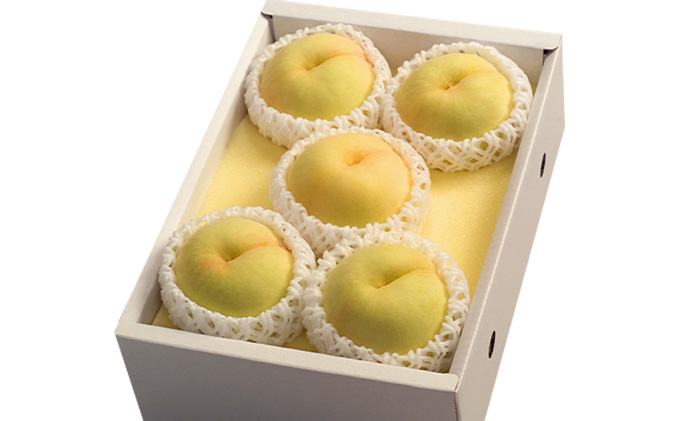 桃 2026年 先行予約 岡山 清水 白桃 5～7玉 合計1.5kg以上  もも モモ 岡山県産 国産 フルーツ 果物 ギフト 環山堂 直射日光 有袋栽培 皮が薄い 上品 甘み 香り 希少 クリーミー 果汁 贈り物