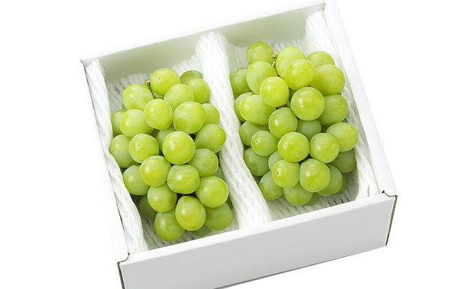 ぶどう 2026年 先行予約 マスカット・オブ・アレキサンドリア 2～3房 合計1.0kg以上 マスカット ブドウ 葡萄 岡山県産 国産 フルーツ 果物 ギフト 環山堂 女王 美しい 香り 気品 贈り物 芳醇