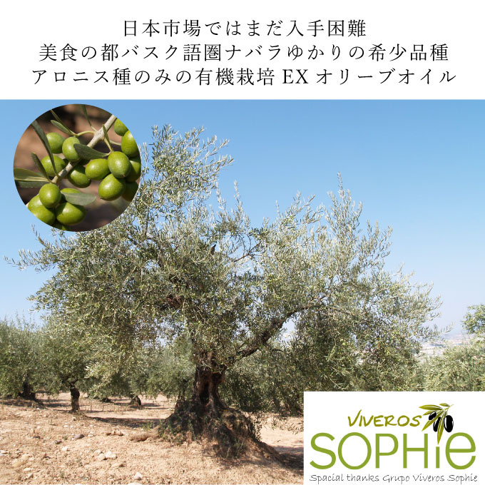 一期一会 エキストラバージンオリーブオイル アロニス種 450g 2本セット