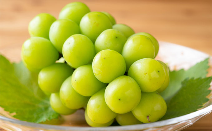 フルーツ 2026年 先行予約 岡山の旬な果物 定期便 ！ 白桃 （早生、中生種）約2kg 6～9玉 シャインマスカット 2房(約1.3kg) 贈答用 岡山県産  果物 ギフト 横木農園 果物類