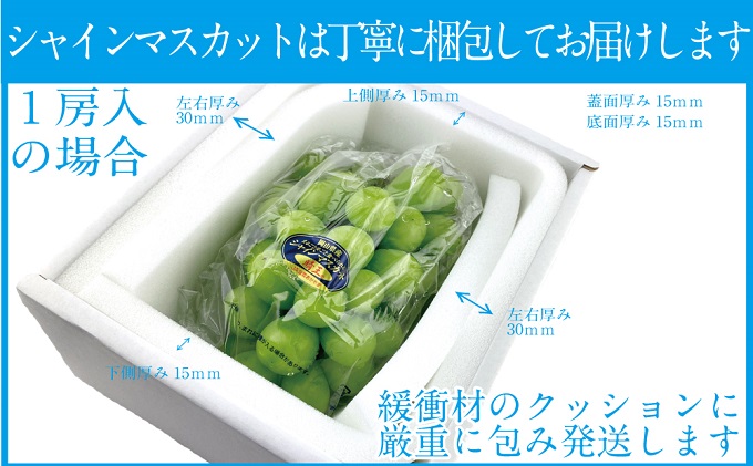 ぶどう 定期便3回［2024年］9月・10月・11月発送 シャインマスカット 晴王 1房 約600g 岡山県産