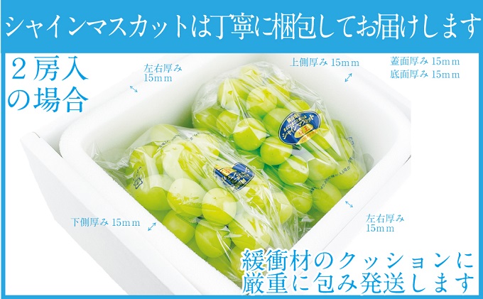 ぶどう 定期便3回［2024年］9月・10月・11月発送 シャインマスカット 晴王 2房（合計約1kg）岡山県産