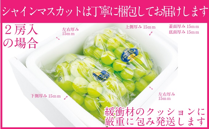 ぶどう 2026年 先行予約 シャイン マスカット 晴王 2房（合計約1.2kg） ブドウ 葡萄  岡山県産 国産 フルーツ 果物 ギフト デザート 食後 酸味が少ない 産地直送  [№5735-1685]