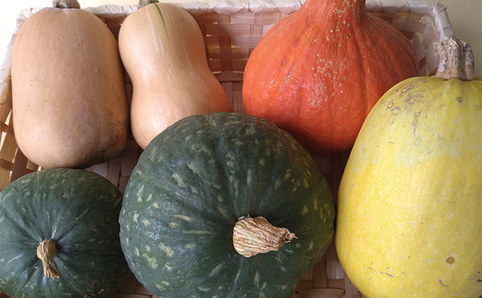 3ヶ月 定期便 瀬戸内「旬」のお野菜セット 7～11品目程度の詰合せ 野菜 農薬 化学肥料 除草剤不使用 岡山 M’s farm