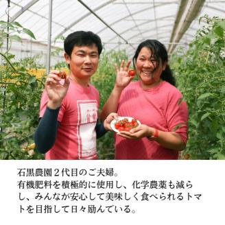 毎日食べたい石黒さんちの ミニトマト たっぷり 3kg 岡山県 瀬戸内市産 石黒農園【配達不可：離島】