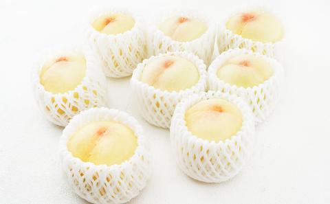 桃 2026年 先行予約 清水 白桃 8玉（1玉200g以上）化粧箱入り もも モモ 岡山県産 国産 フルーツ 果物 ギフト 最高級 乳白色 柔らかい 果汁 とろける 美味しい 贈り物