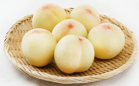 桃 2026年 先行予約 白桃 8玉 （1玉200g以上） 等級：ロイヤル 化粧箱入り もも モモ 岡山県産 国産 フルーツ 果物 ギフト 贈答品 糖度12.0度以上