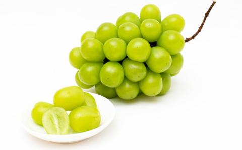 フルーツ 定期便 2026年 先行予約 フルーツ王国 岡山 ベストセレクト 3回コース 桃 もも 葡萄 ぶどう 梨 なし 岡山県産 国産 果物 セット ギフト 柔らかい マスカット 甘い 酸味 高級 香り 風味